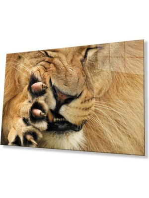 idealizbiz Aslan Cam Tablo 4mm Dayanıklı Temperli Cam