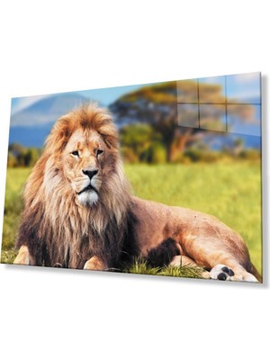 idealizbiz Aslan Cam Tablo 4mm Dayanıklı Temperli Cam