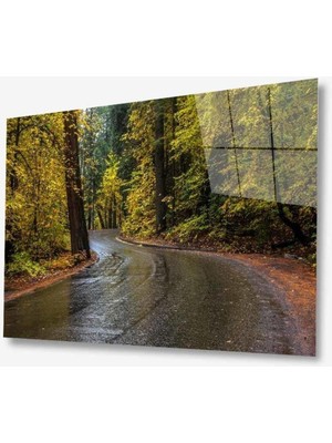 idealizbiz Doğa Cam Tablo 4mm Dayanıklı Temperli Cam