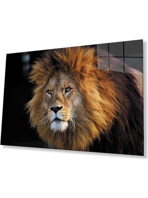 idealizbiz Aslan Cam Tablo 4mm Dayanıklı Temperli Cam