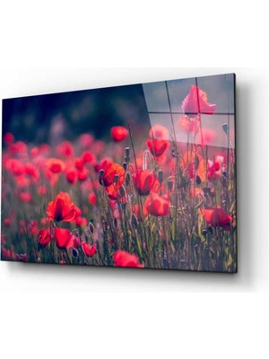 idealizbiz Doğa Cam Tablo 4mm Dayanıklı Temperli Cam