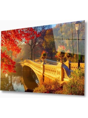 idealizbiz Doğa Cam Tablo 4mm Dayanıklı Temperli Cam