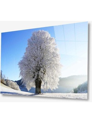 idealizbiz Doğa Cam Tablo 4mm Dayanıklı Temperli Cam