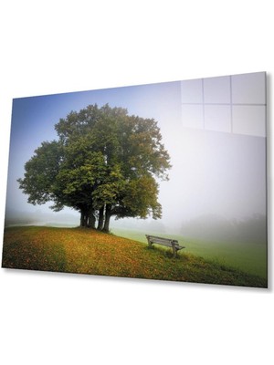 idealizbiz Çınar Cam Tablo