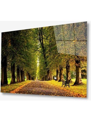 idealizbiz Doğa Cam Tablo 4mm Dayanıklı Temperli Cam