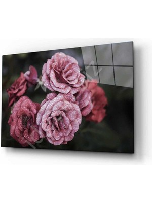 idealizbiz Doğa Cam Tablo 4mm Dayanıklı Temperli Cam