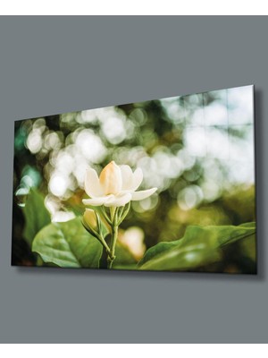 idealizbiz Çiçek Cam Tablo 4mm Dayanıklı Temperli Cam White Flower Glass Wall Art