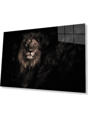 idealizbiz Aslan Cam Tablo 4mm Dayanıklı Temperli Cam