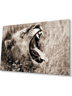 idealizbiz Aslan Cam Tablo 4mm Dayanıklı Temperli Cam