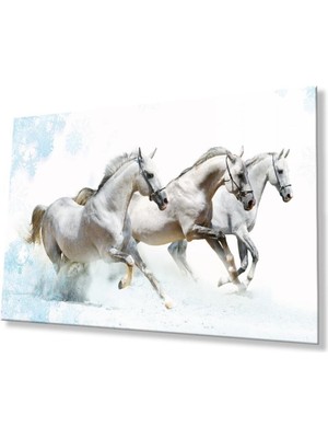 idealizbiz Atlar Cam Tablo 4mm Dayanıklı Temperli Cam