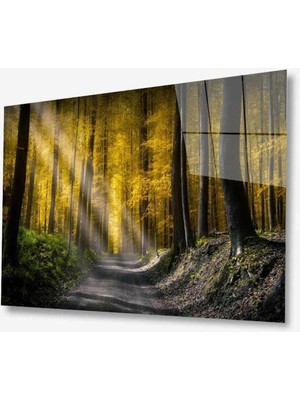 idealizbiz Doğa Cam Tablo 4mm Dayanıklı Temperli Cam