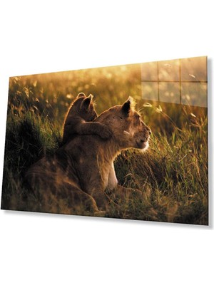 idealizbiz Aslan Cam Tablo 4mm Dayanıklı Temperli Cam