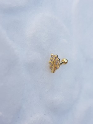 Canka Tragus Küpe Piercing Çelik