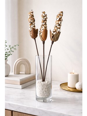 B'Clara Home 3'lü Shola Berries Tropikal Dekoratif Kuru Çiçek Vazo Çiçeği