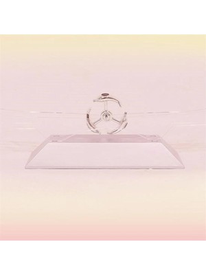 MiraLive Dekoratif Masa Üstü Obje Manyetik Kinetik Orbital Dönen Yunuslar