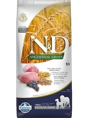 Hepta Collection Nd Düşük Tahıllı Kuzulu Medium Maxi Yetişkin Köpek Maması 12 kg