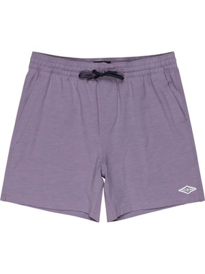 Billabong Every Other Day Lb Erkek Volley Short