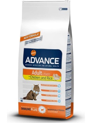 Hepta Collection Tavuklu ve Pirinçli Yetişkin Kedi Maması 15 kg