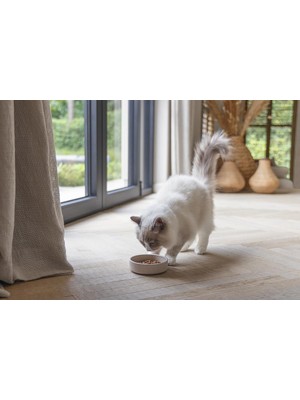 Hepta Collection Dbl Kedi Mama Su Kabı, Bambu, Bej 12CM, 250ML