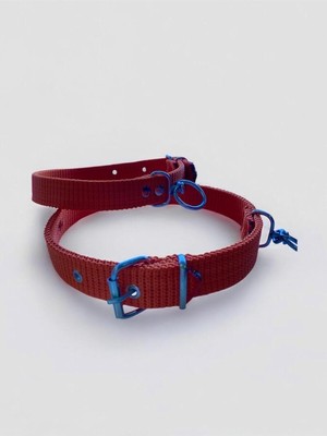 Hepta Collection Büyük Boy Köpek Tasması Turuncu 60 cm