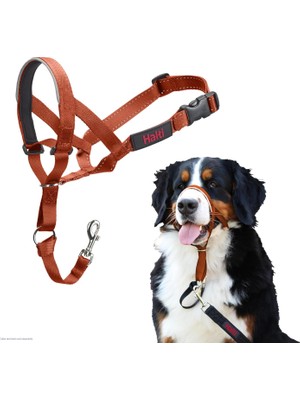 Hepta Collection Haltı Başlık - Köpeğinizin Tasmayı Çekmesini Durdurmak Için. Ayarlanabilir, Yansıtıcı ve Hafif, Dolg