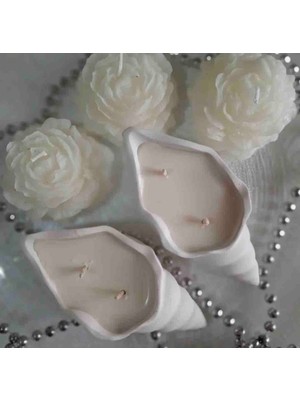 Zeyn Dekoratif Mum Deniz Kabuğu 2 adet