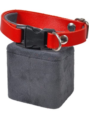 Hepta Collection Hakiki Kedi Köpek Tasması Kırmızı Renk