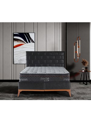 Queen Bee Live Life Pochet System Yatak