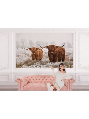 the mr east Iskoçya Sığırları Dekoratif Duvar KAĞIDI-1150