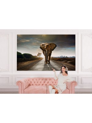 the mr east Yürüyen Fil Duvar Kağıdı - POSTERI-3959