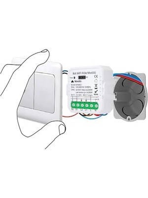 Uyumlu Akıllı Anahtar Modülü, Çift Çıkışlı, Anahtar Girişli, 2X10A - 220V Röle, Asistan ve Alexa Destekli