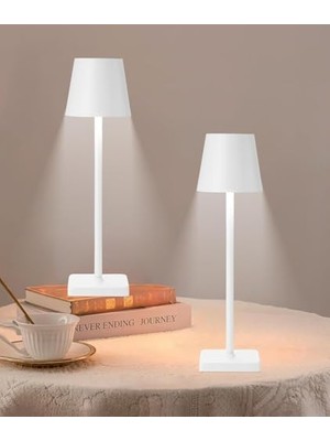 38CM Modern Masa Lambası Oturma Odası Başucu Lambası Restoran Bar Kitap Okuma Işığı Masa Lambası USB Şarj Edilebilir Masa Lambası Aydınlatma Lmp5