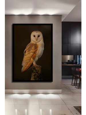 Petmudo AVM Büyüleyici Beyaz Baykuş Ahşap Ev,antre,salon,ofis,mutfak,yatak Odası Tablo Çerçeve Görünümlü
