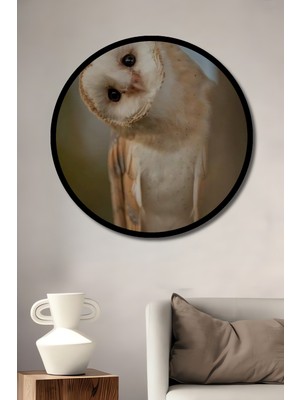 Petmudo AVM  Baykuş Yağlı Boya Görünümlü Dekoratif Ahşap Tablo Yuvarlak Duvar Tablosu Çerçeve Görünümlü