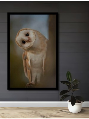 Petmudo AVM  Baykuş Yağlı Boya Görünümlü Ahşap Ev,antre,ofis,mutfak,yatak Odası Tablo Çerçeve Görünümlü