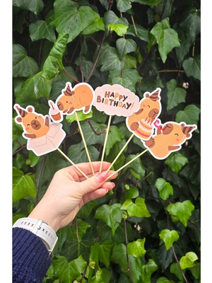 Pekshop Kapibara Kürdan Süsleri Lüks Büyük Boy 10LU Paket