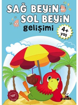 Sağ Beyin-Sol Beyin Gelişimi 4+ Yaş