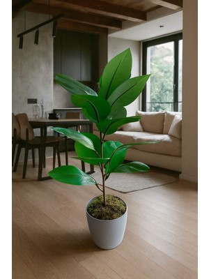 Maki Dekor Yapay Kauçuk Ağacı 65 cm Boyunda 15 Yapraklı Dekoratif Salon Bitkisi