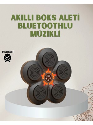 HERŞEYBURDAMODA Bluetoothlu Akıllı Boks Antrenman Cihazı Işıklı Hedefli Kardiyo ve Fitness Aleti