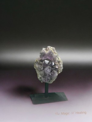 Zodyak Doğal Taş Ametist Doğal Taş Jeot