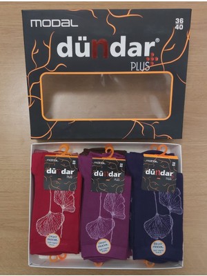 Dündar Kadın Modal Çorap 12'li Karışık Renkli