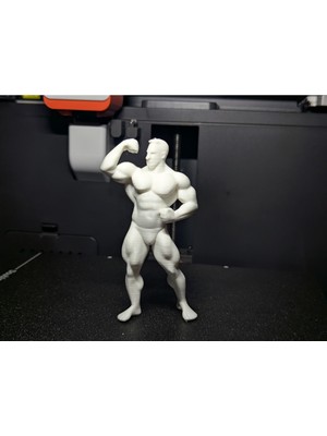 Kaslı Vücut Figürü - Sanatsal Anatomi Modeli (Pla)