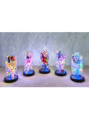 Eco Port Işıklı  Müzkli Dekoratif Cam Fanus Içinde Gül ALK5005