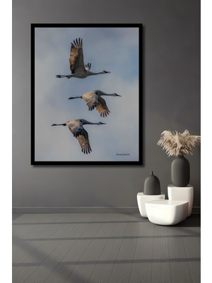 Petmudo AVM Görseldeki Kuşların Uçuşu Yağlı Boya Görünümlü Ahşap Ev,antre,ofis,mutfak Tablo Çerçeve Görünümlü
