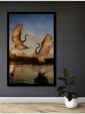 Petmudo AVM Muhteşem Kanatlar Güneş Batımında Süzülen Iki Leylek Modern Sanat Ahşap Tablo Çerçeve Görünümlü