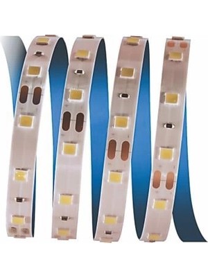 Bilfold 5 Metre Cata Ct 4481 Iç Mekan 12V 10 Çipli Şerit LED 3200K Günışığı