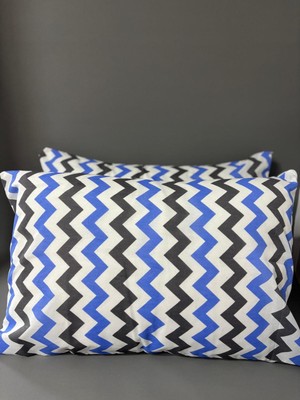 Niğtex 2 Adet fermuarlı 50X70 cm Yastık Kılıfı