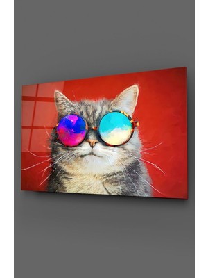 Petmudo AVM Renkli Gözlüklü Kedi Cam Tablo