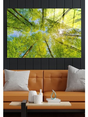 Petmudo AVM Ağaçlar Cam Tablo, Dekoratif Cam Tablo