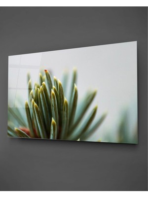 Petmudo AVM Yeşil ve Sarı Yapraklar Yatay Cam Tablo